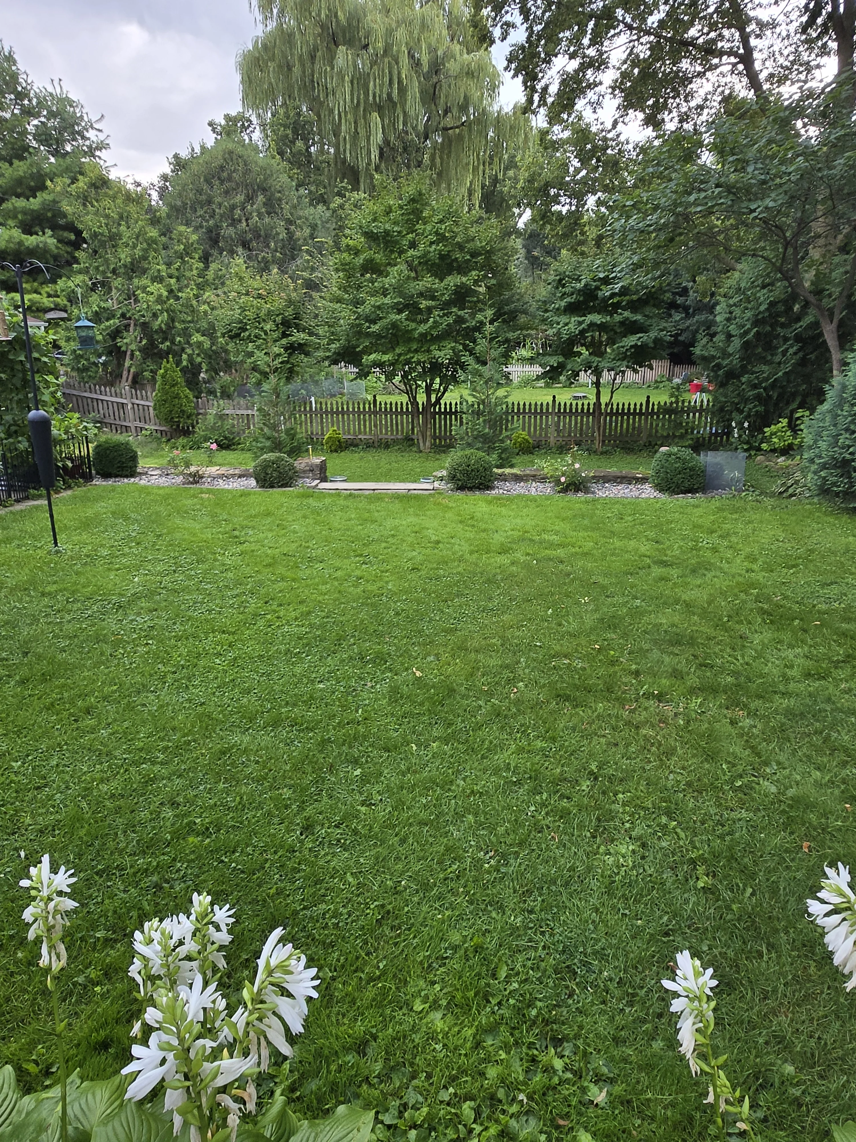 1000014747.webp