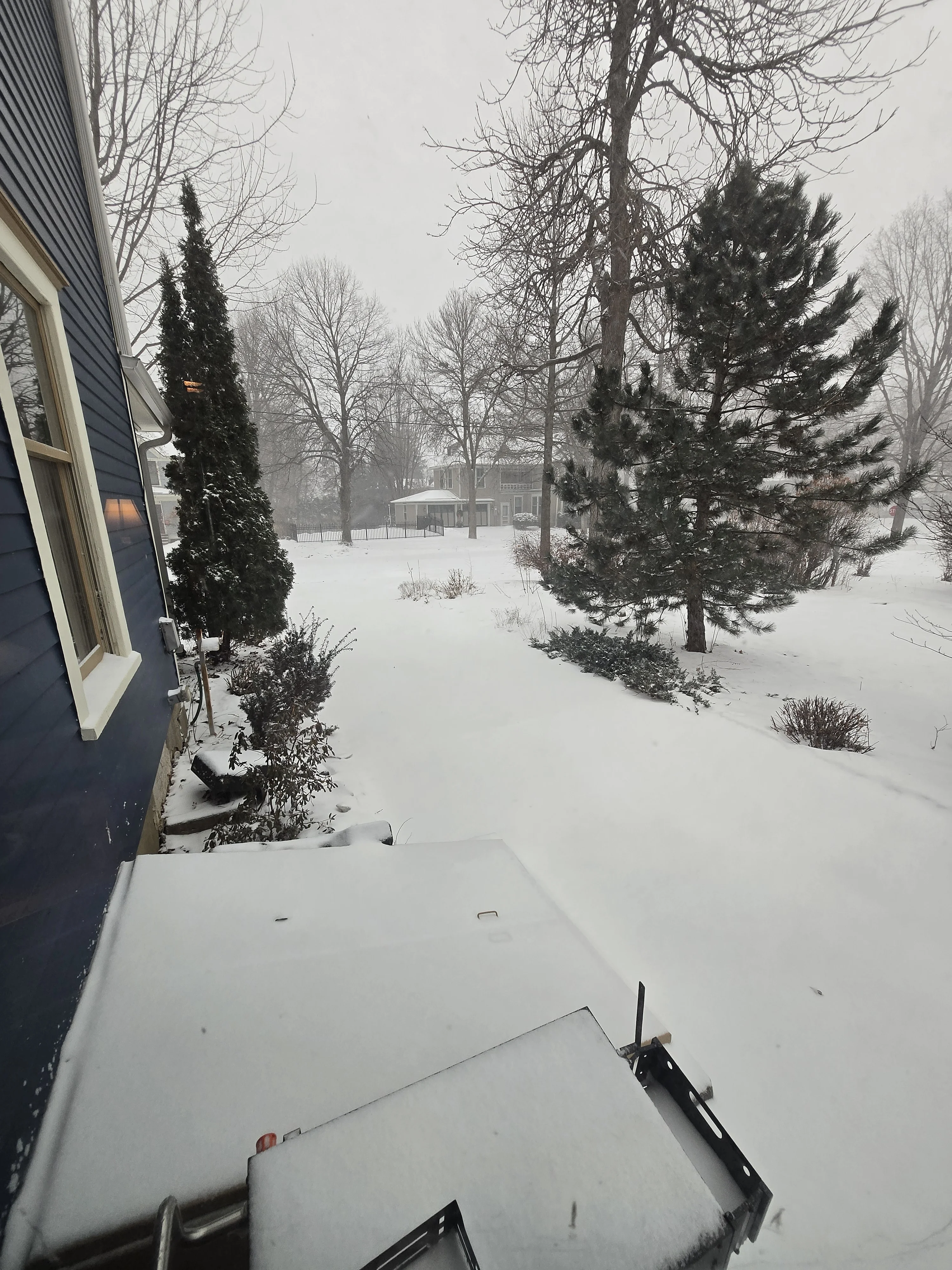 1167.webp