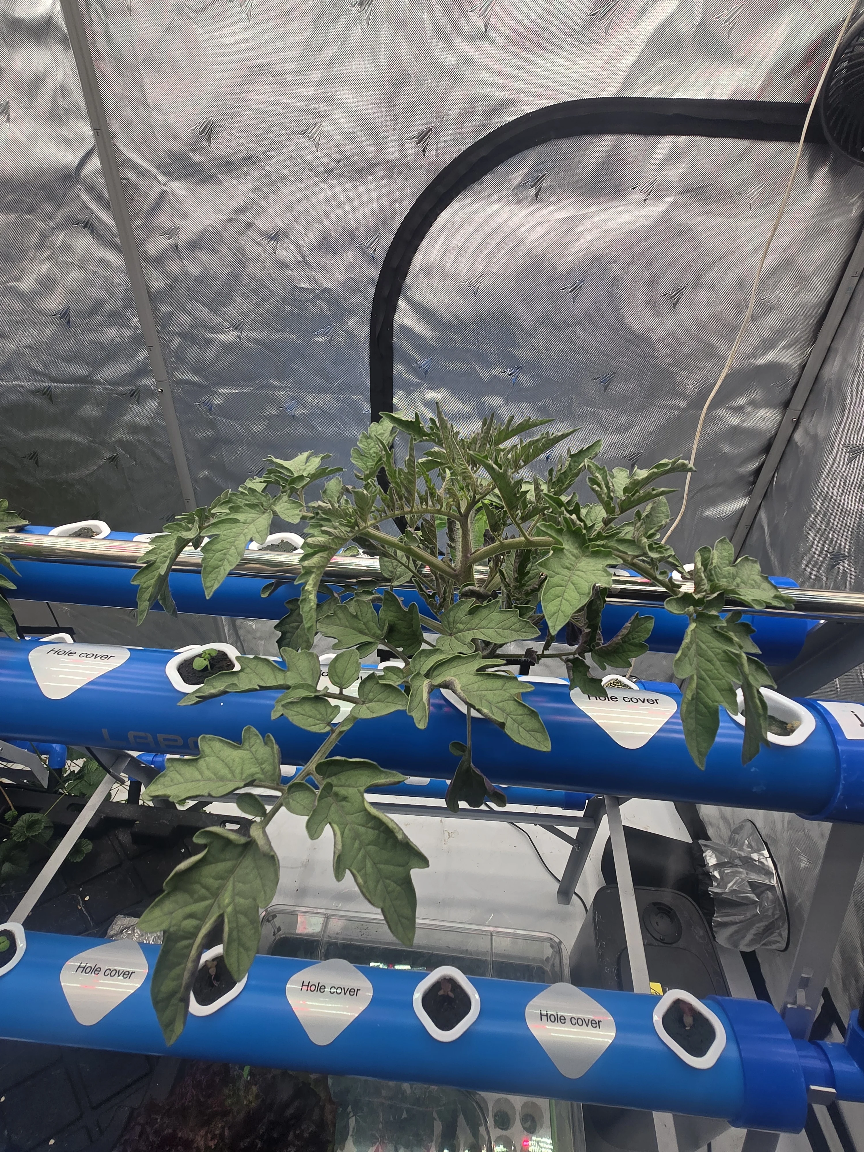 1409.webp