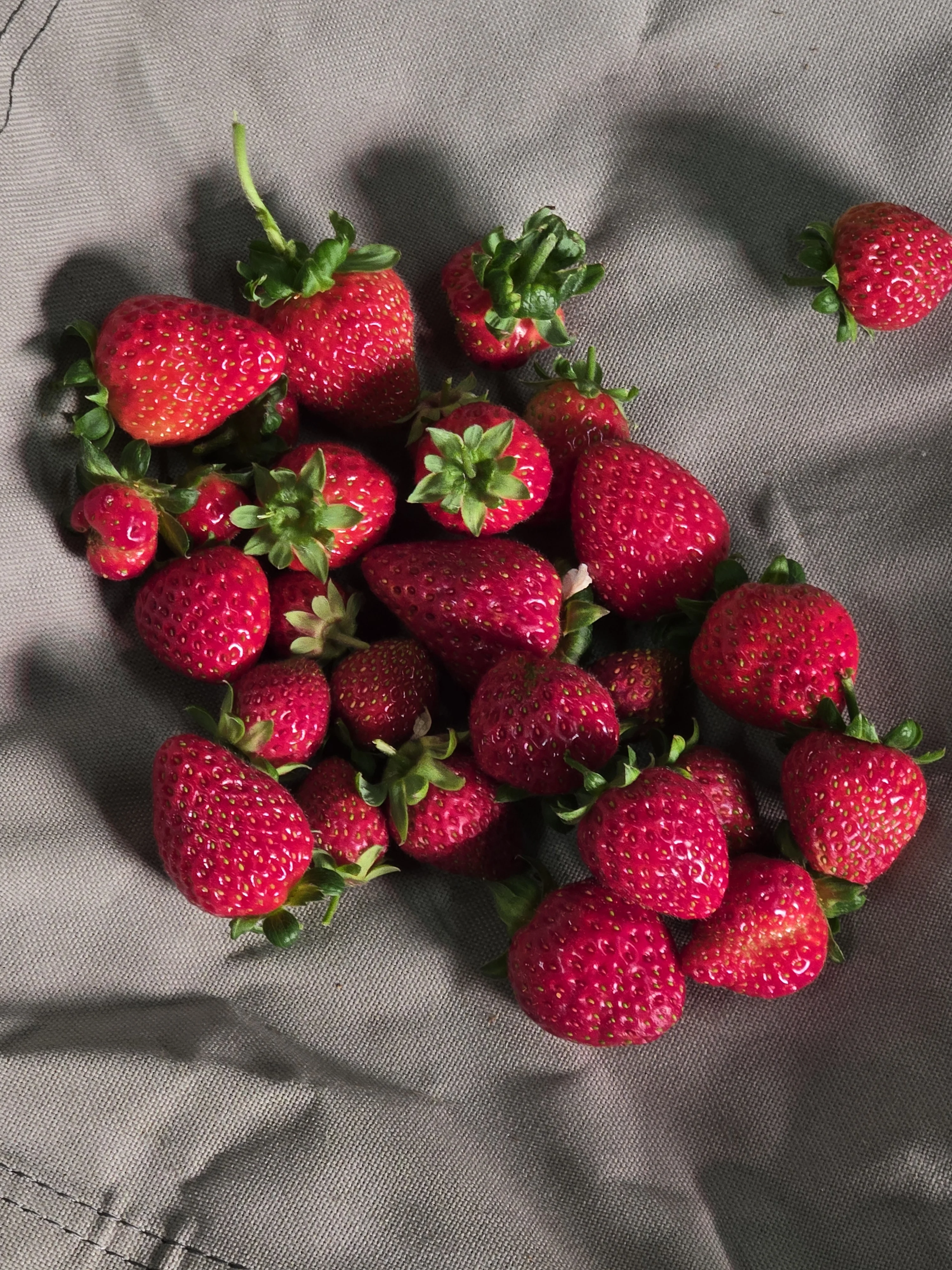 1513.webp