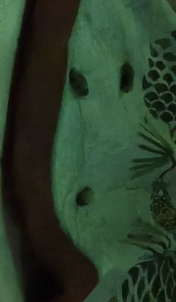 1732981630818.webp