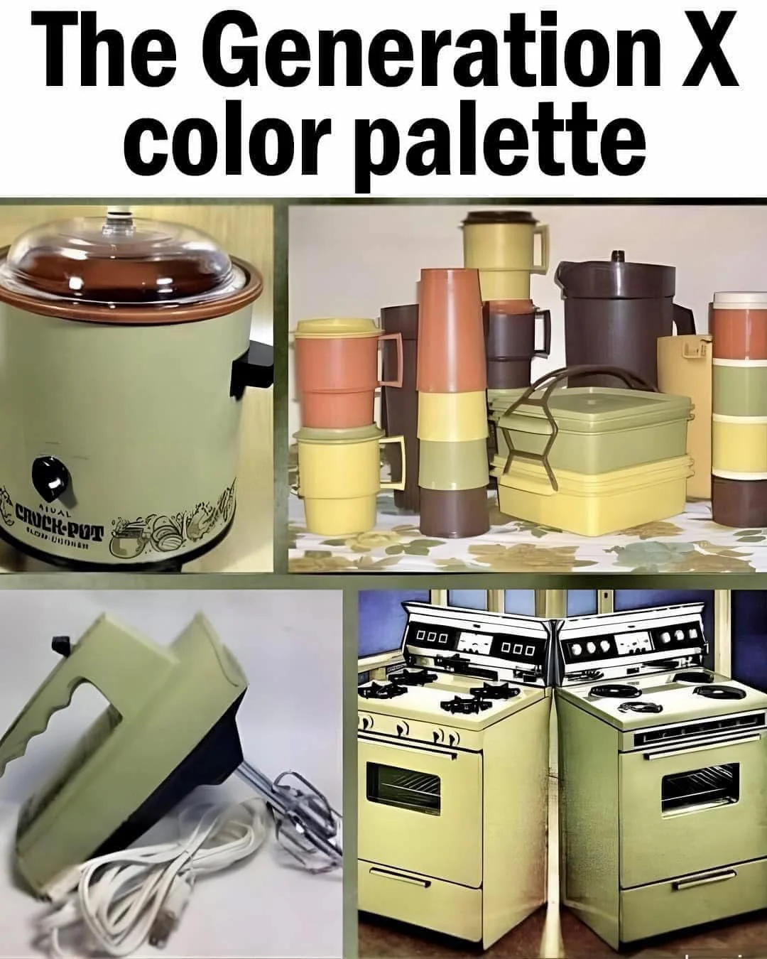1738014673695.webp