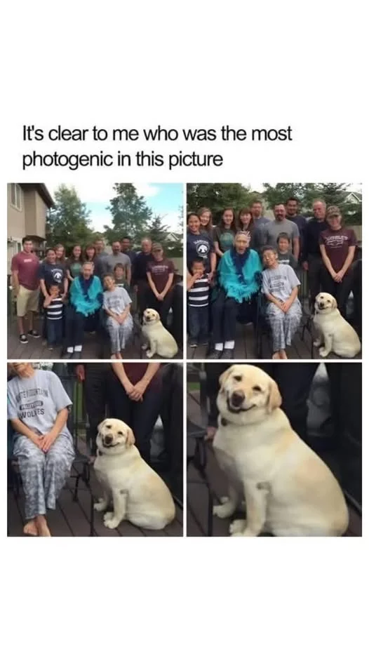 1738518679182.webp