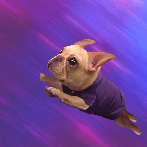 1739154421863.gif