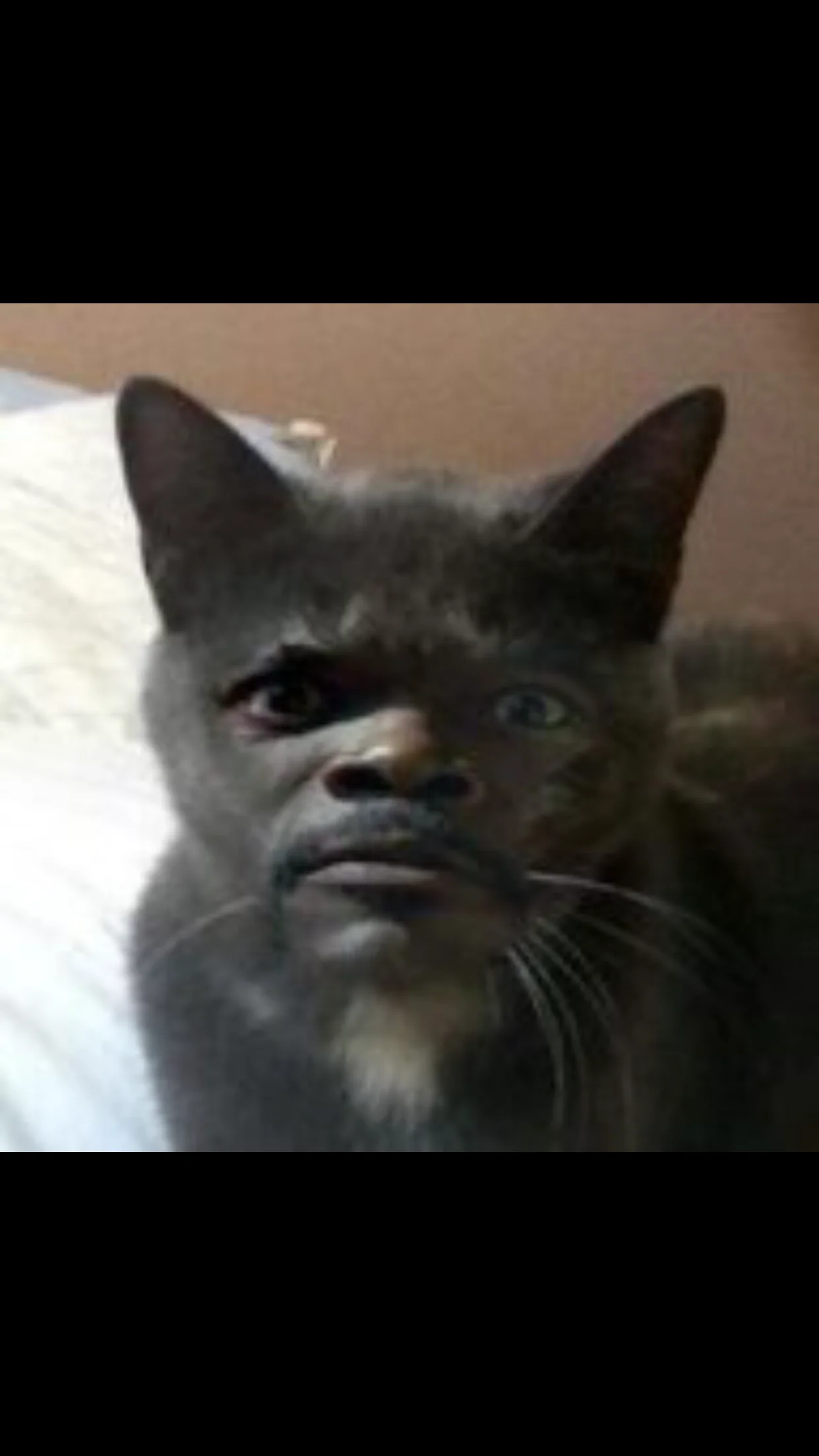 1741068168095.webp