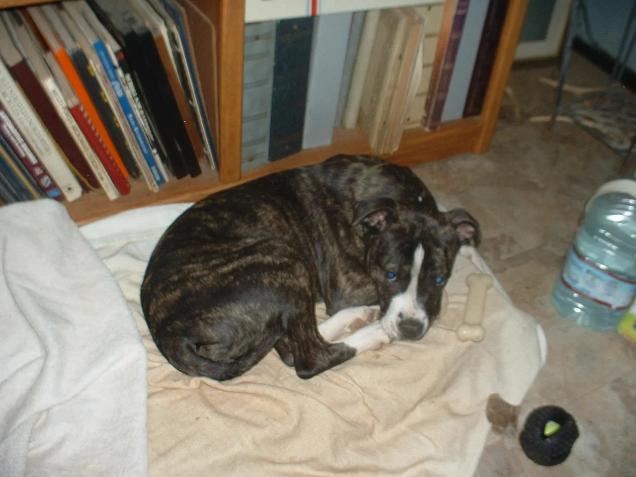 1741288459846.webp