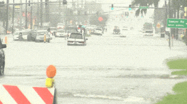 1742128765742.gif