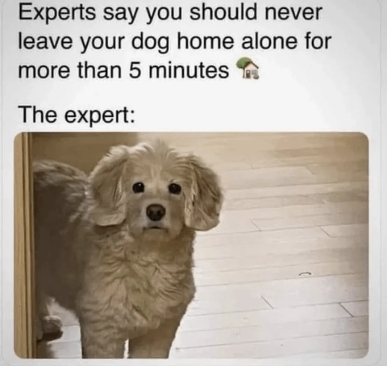 1747232313988.webp