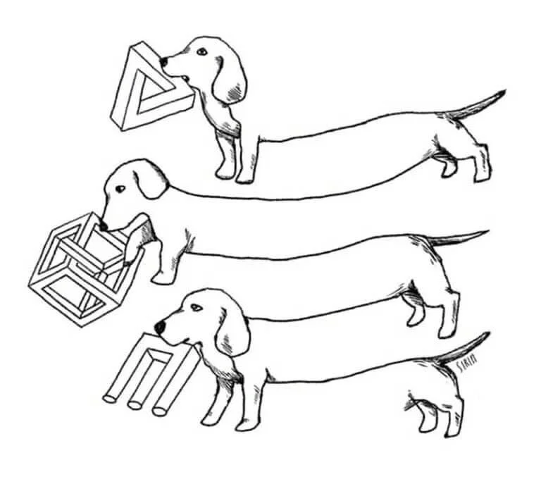 1750195543320.webp