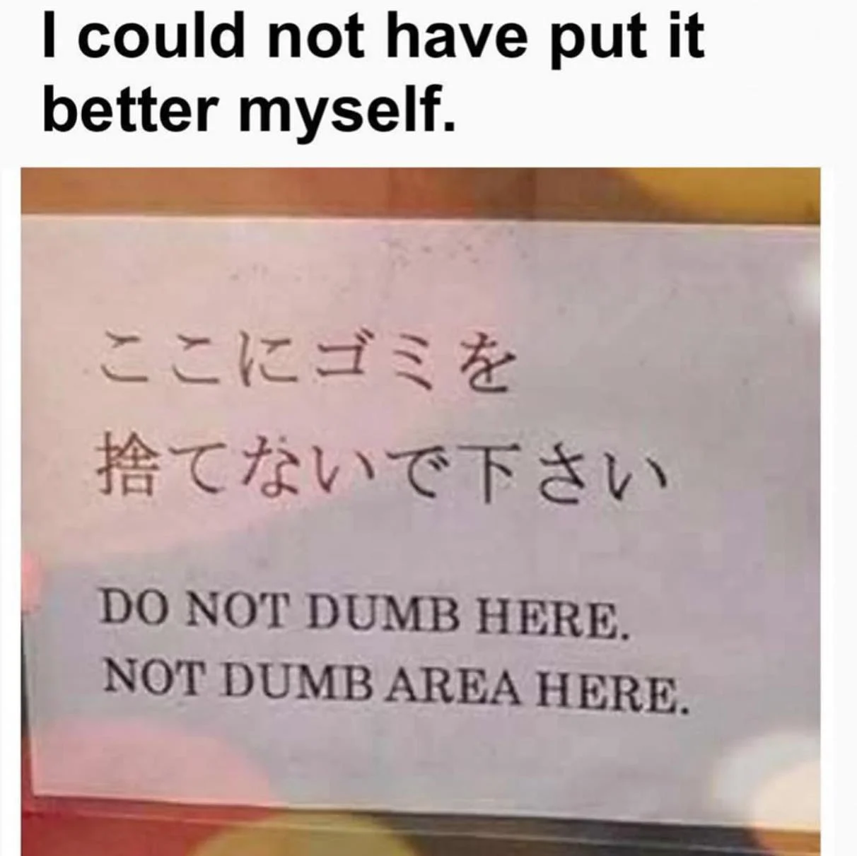 1751407906696.webp