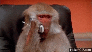 1752704077956.gif