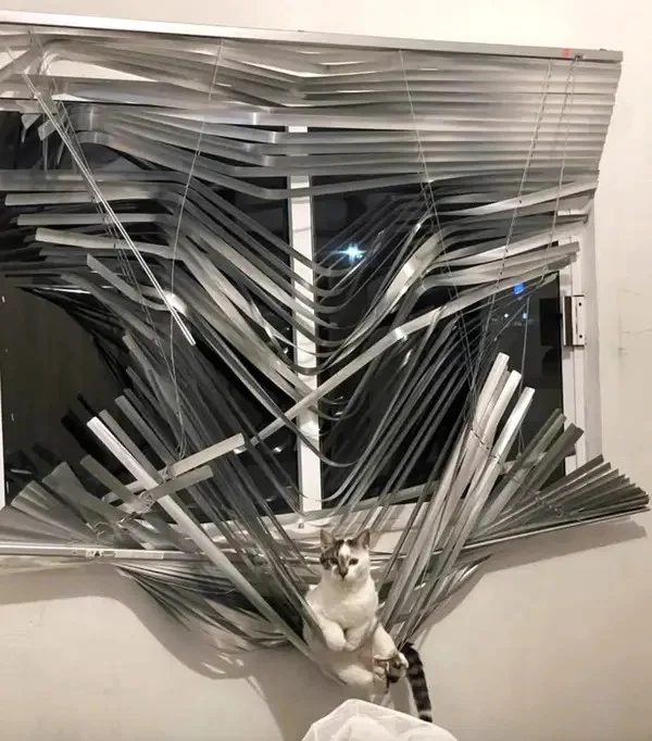17536301564585529486922395196464.webp