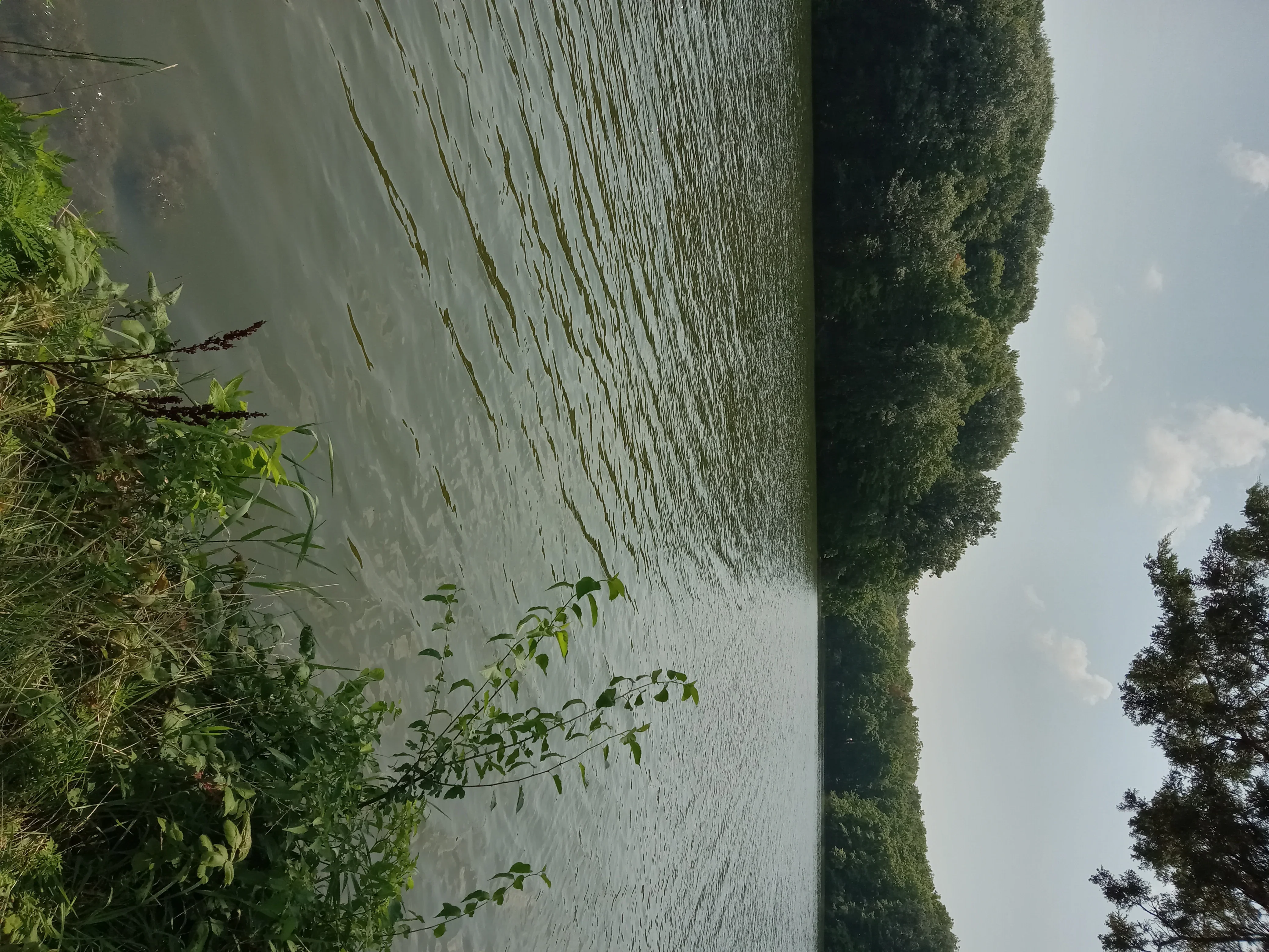 1754154257187144743644421541521.webp