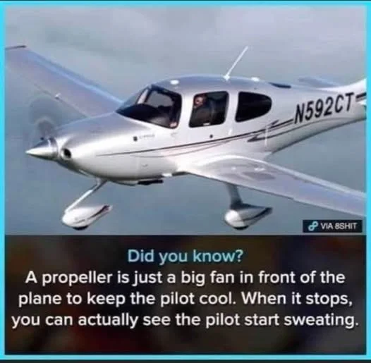 1755112925068.webp