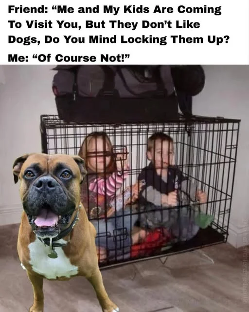 1755371798648.webp