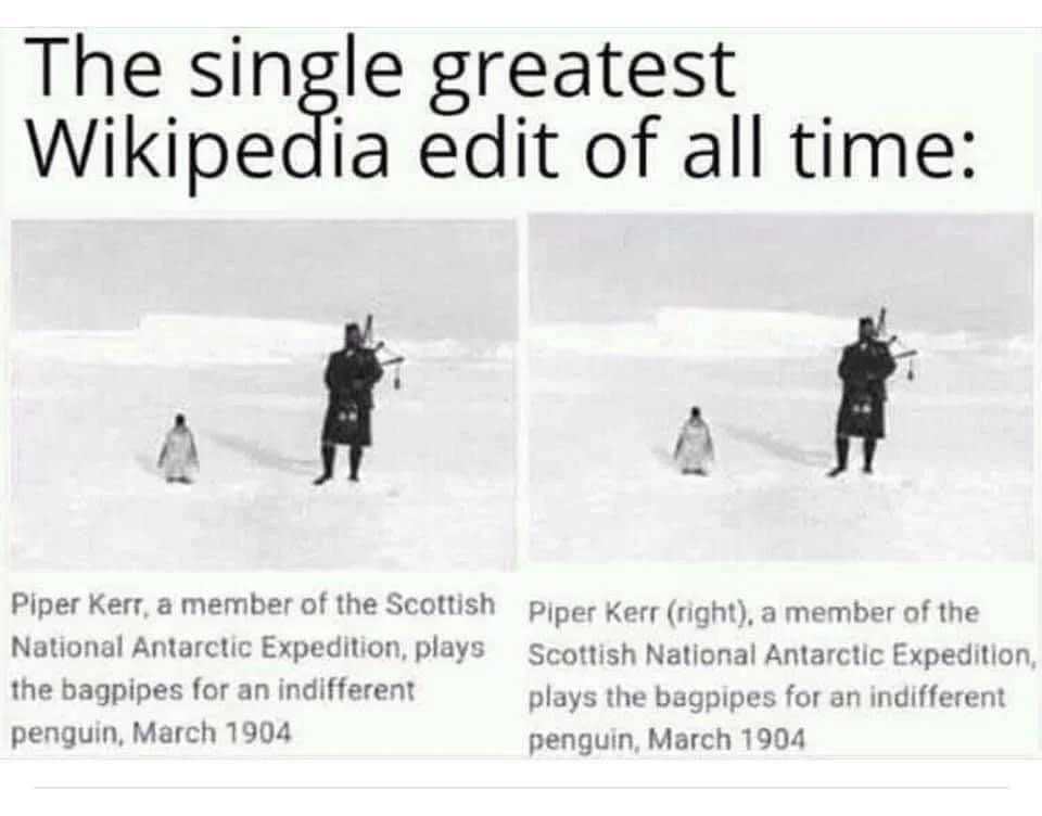 1756774295691.webp