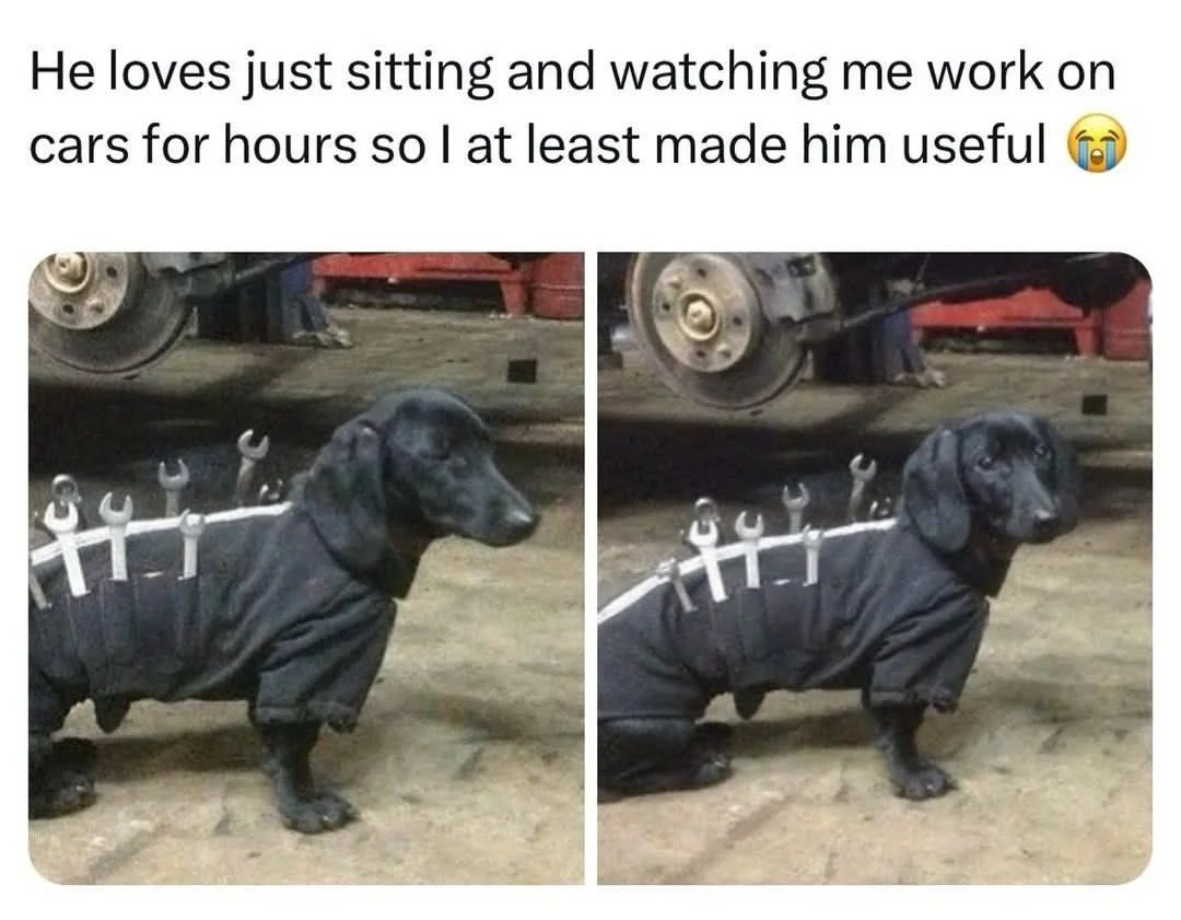 1757517036603.webp