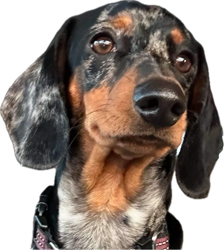 1761657777128.webp