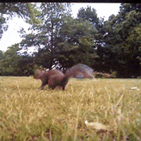 1765392939338.gif