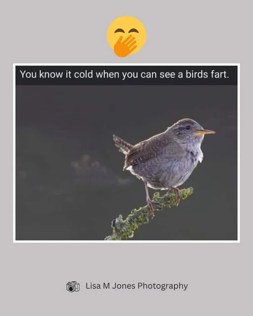 1769534447396.webp