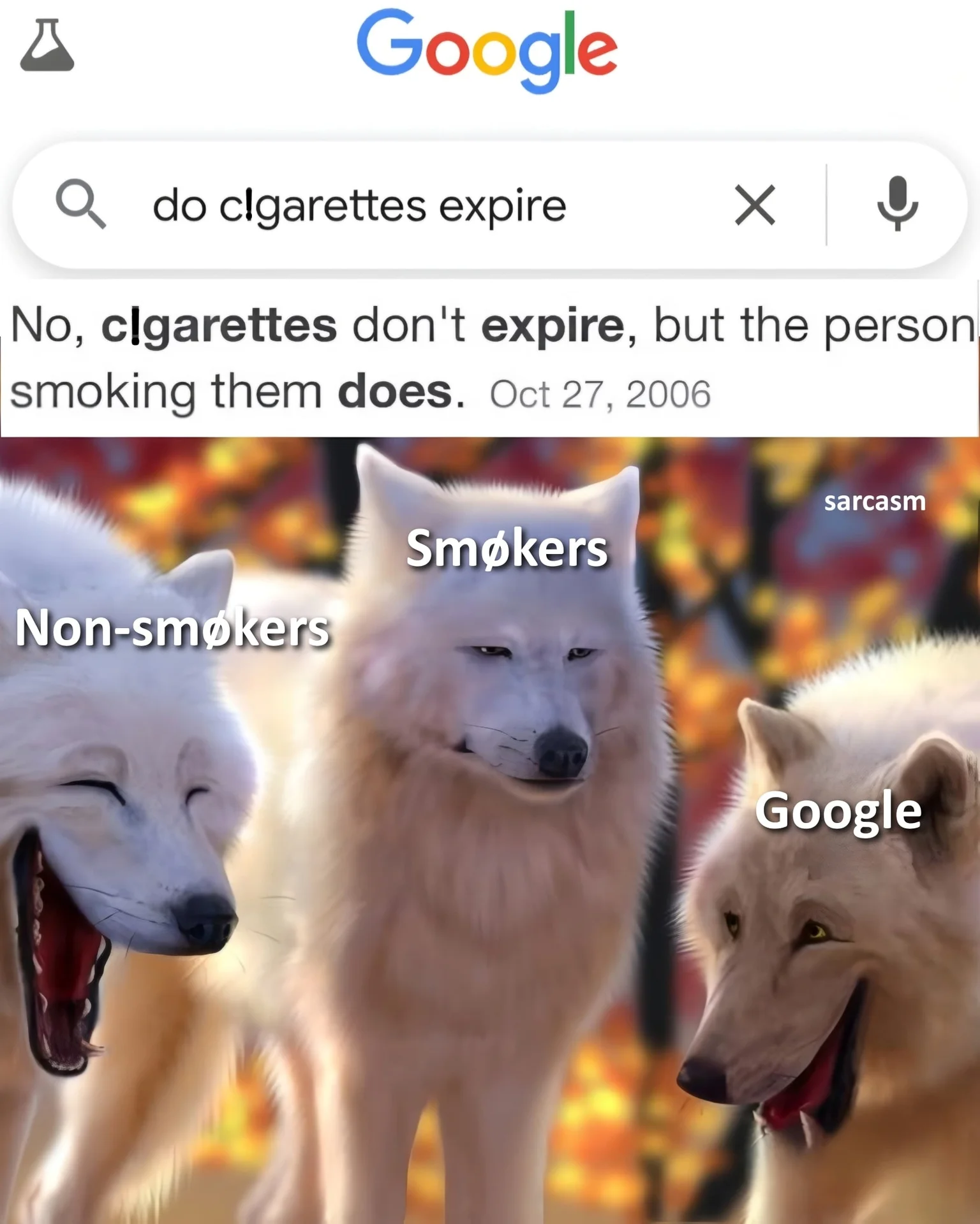 1773684793116.webp