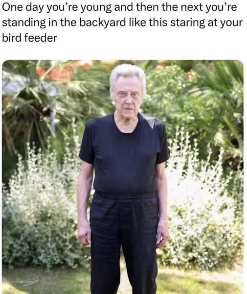 1777308183772.webp