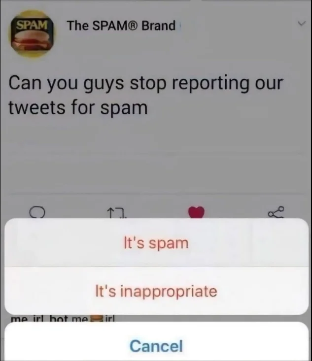 1781100477867.webp