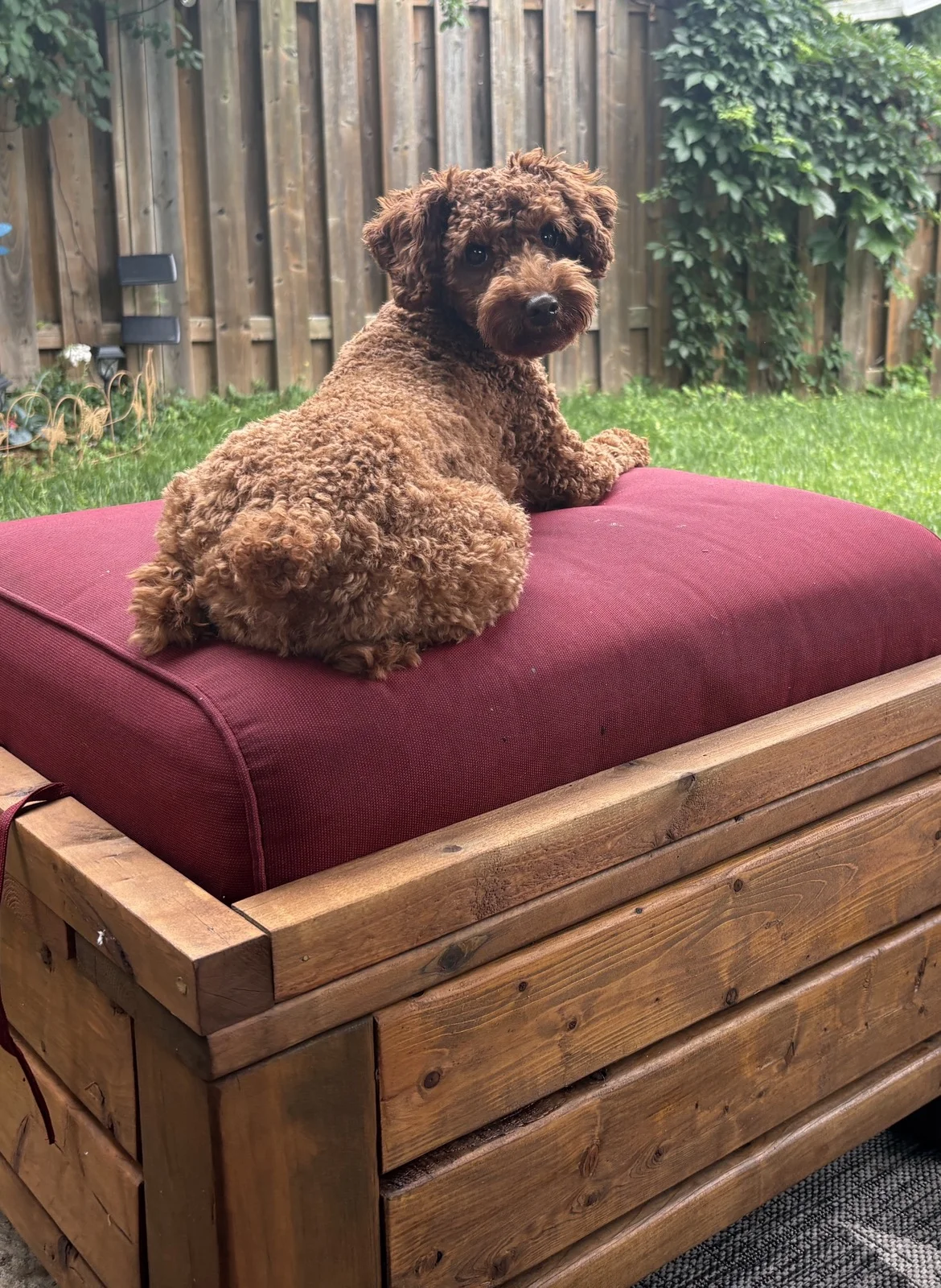 1783340114478.webp