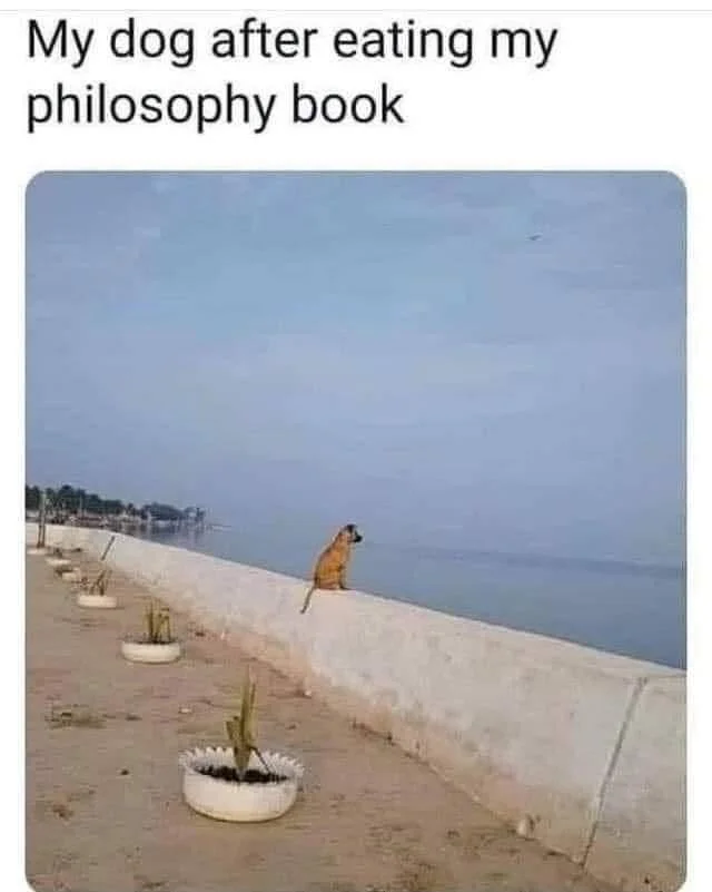 1785685197953.webp