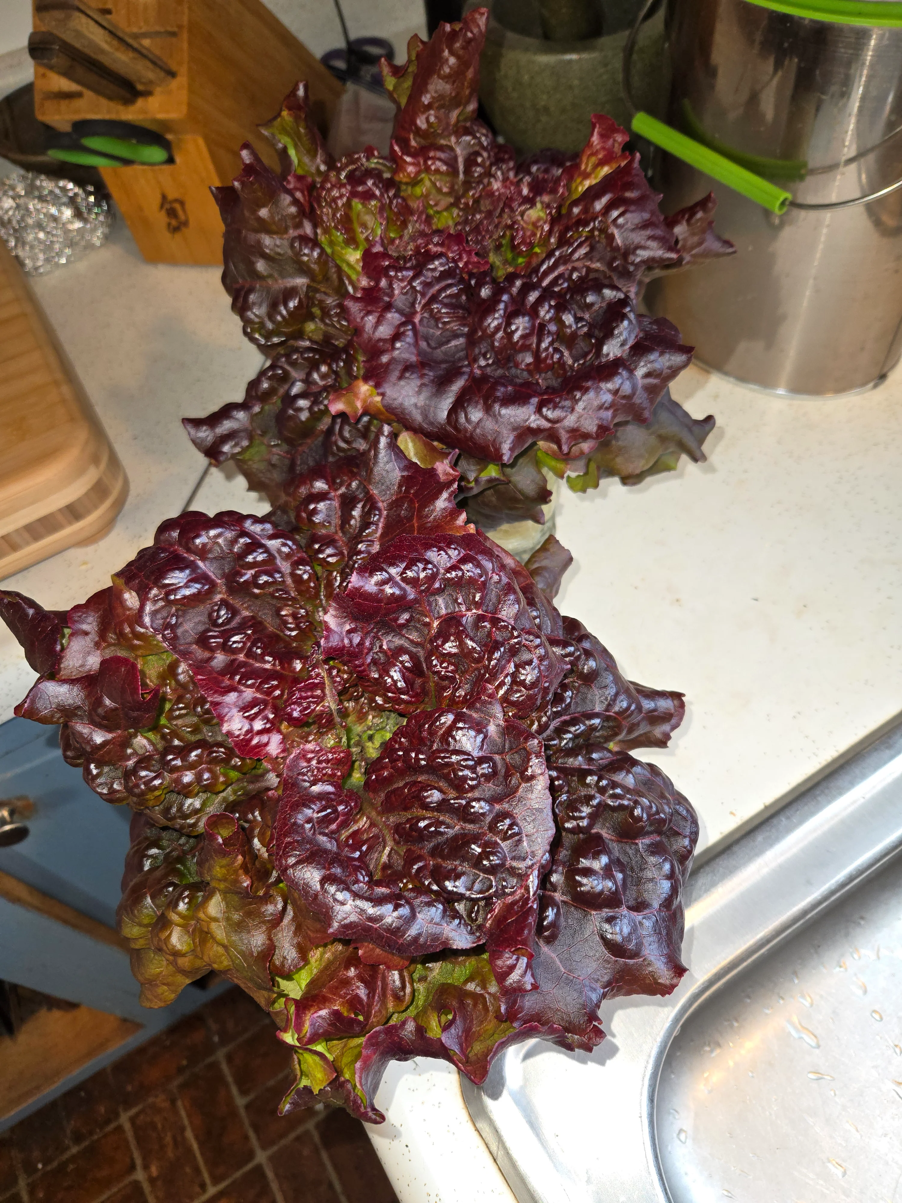 20250204_142843.webp