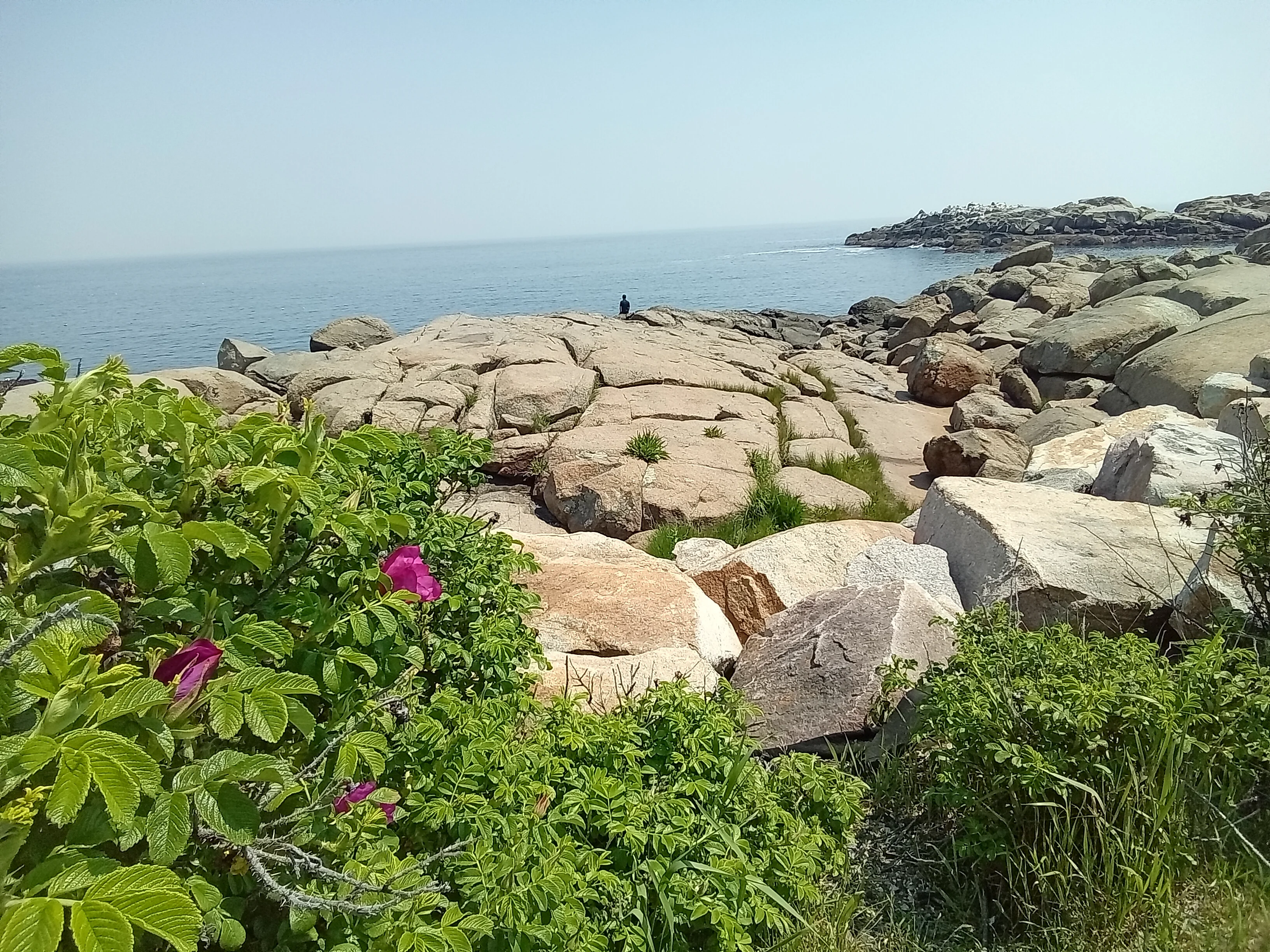 20250605_112359.webp