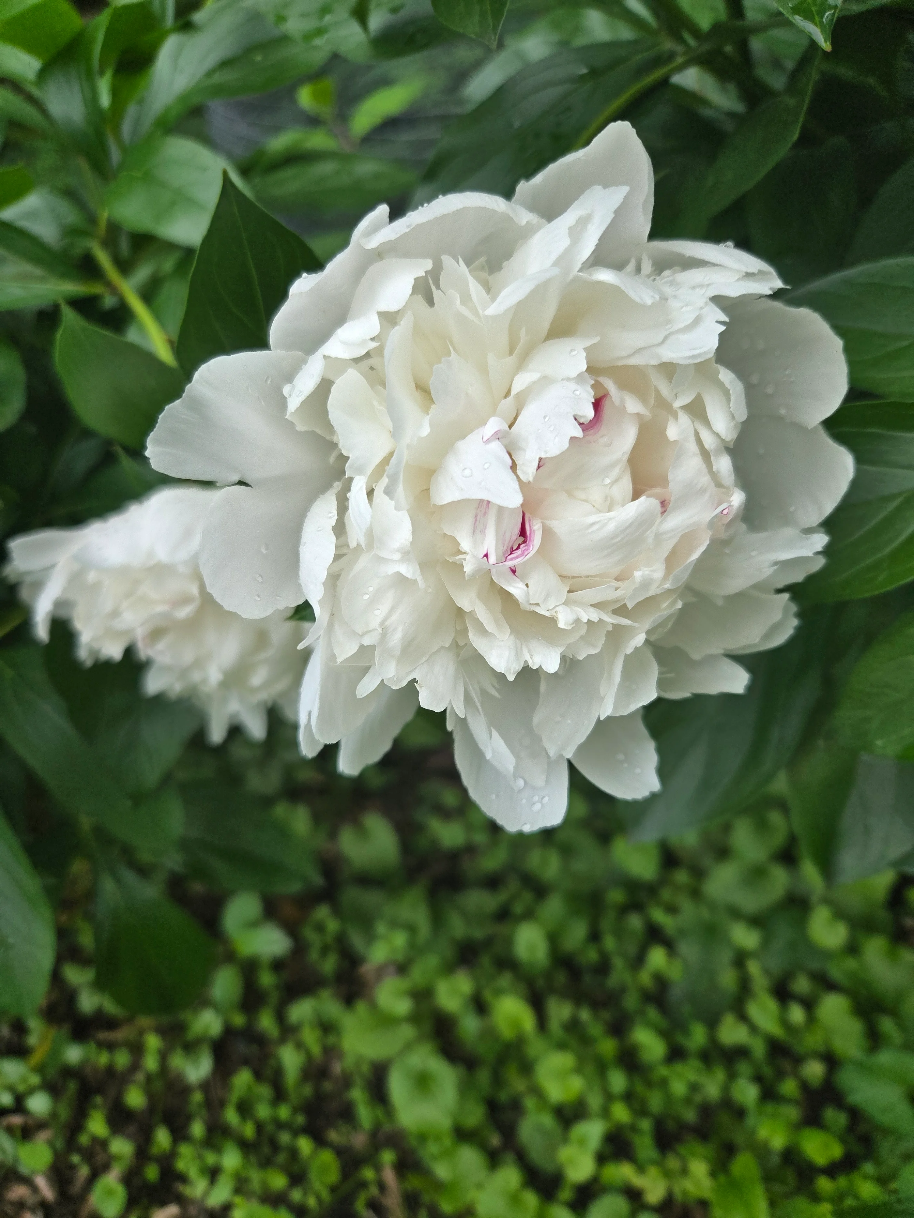 20250612_163618.webp