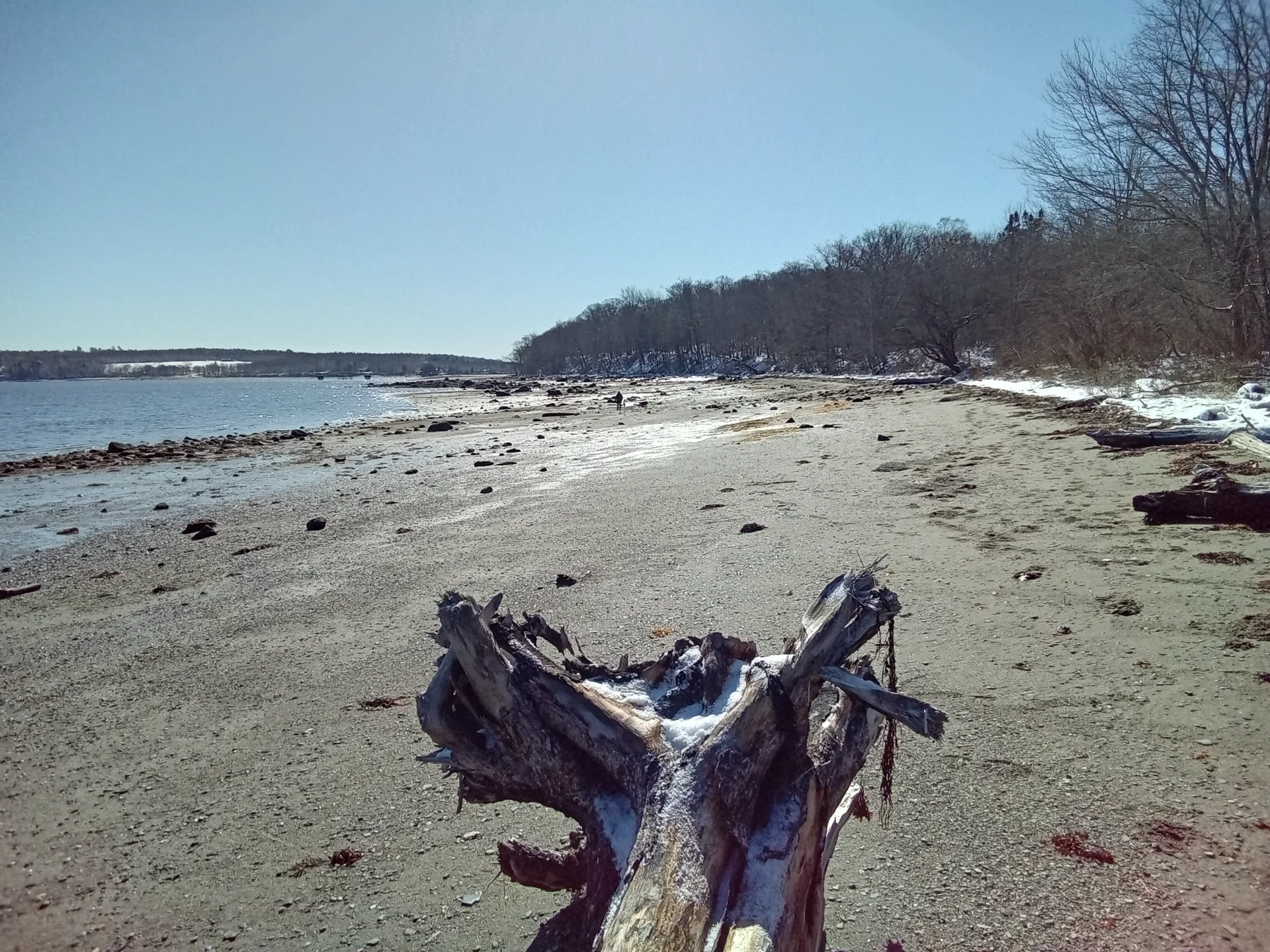 20260324_094619.webp