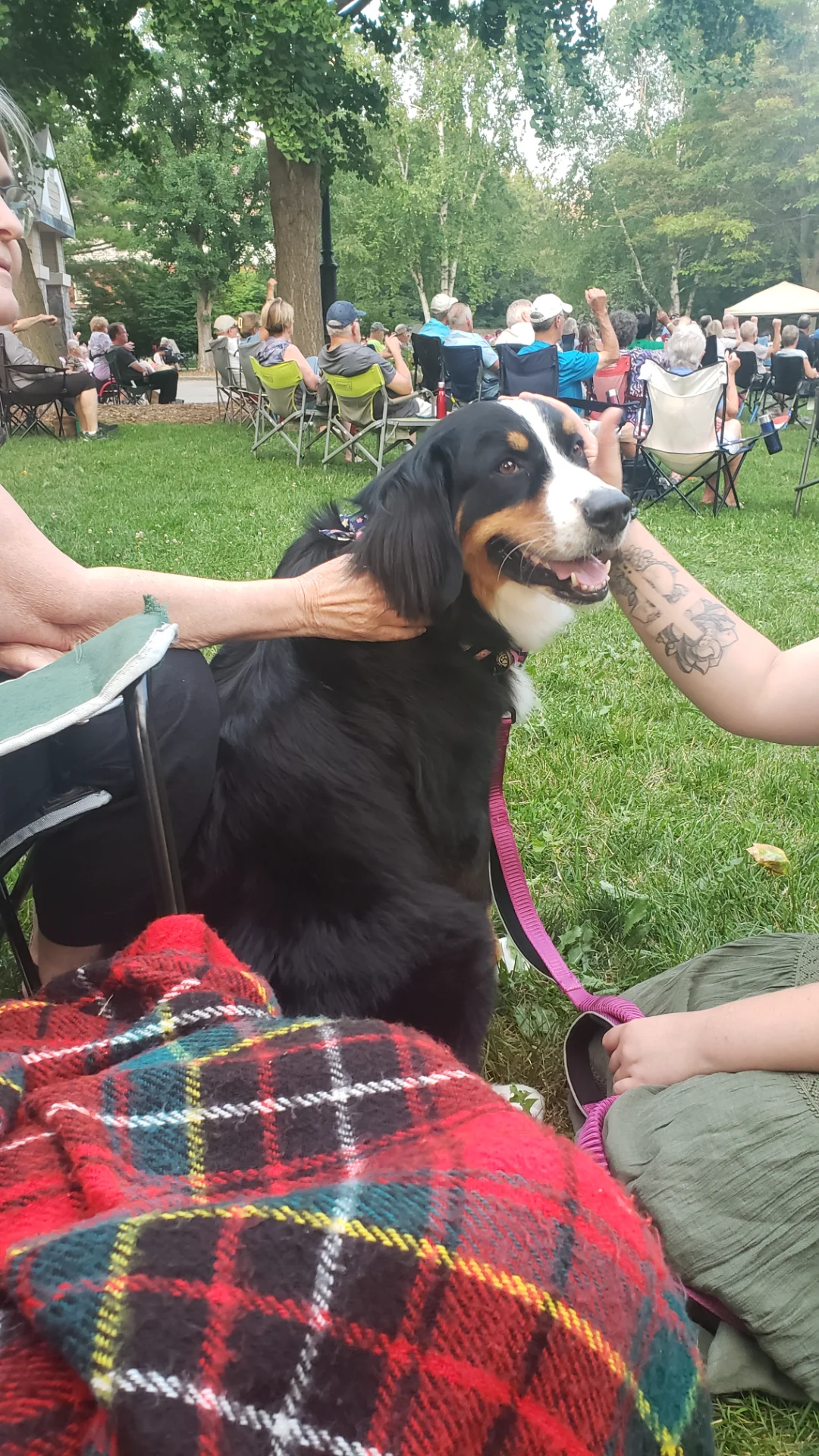 20260716_202344.webp
