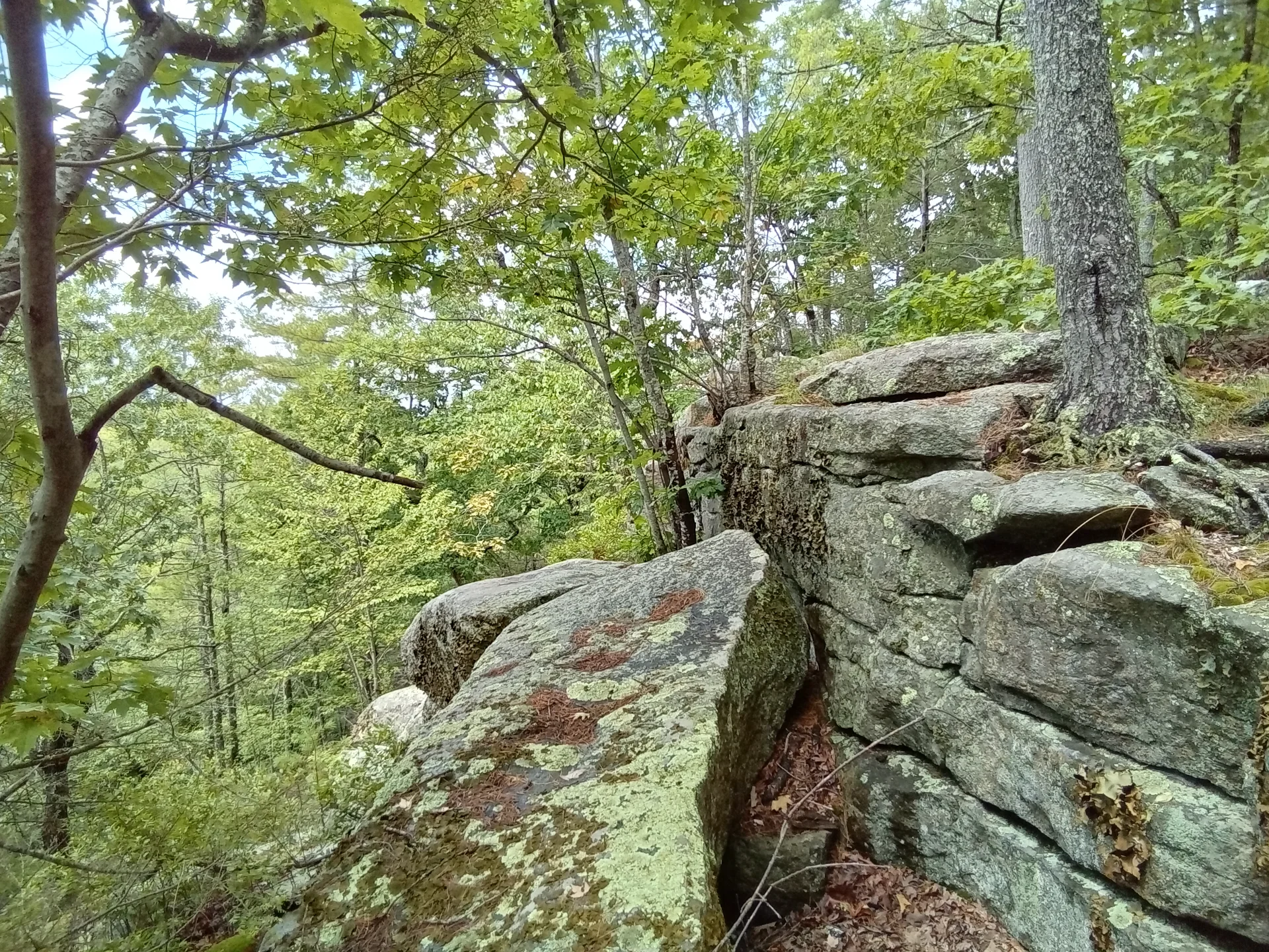 20260730_124324.webp