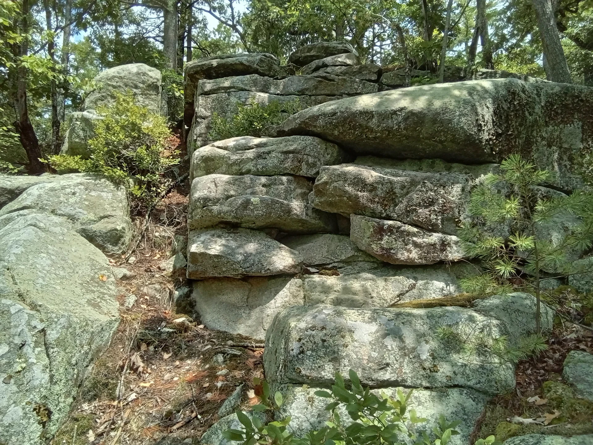 20260730_124642.webp