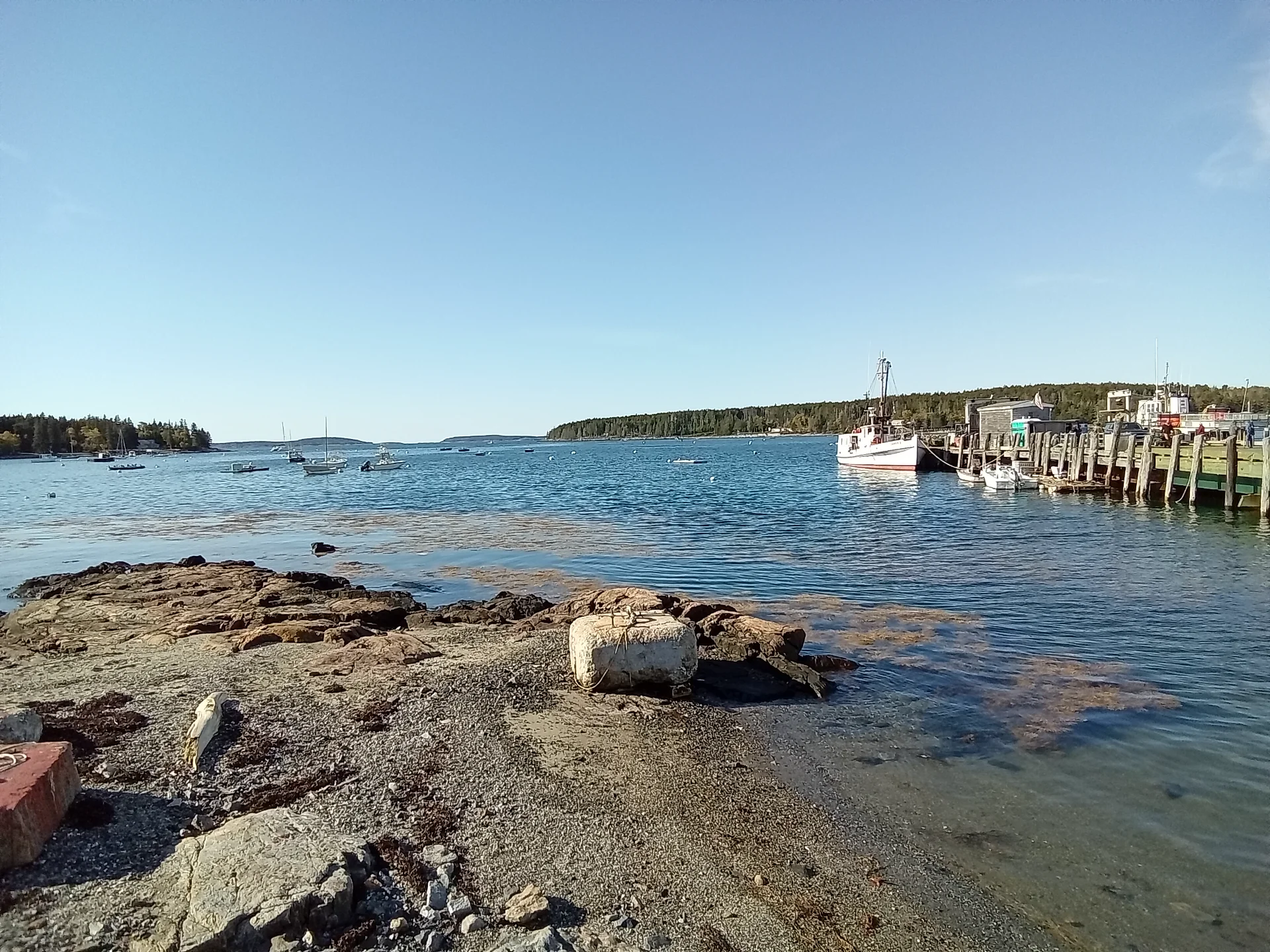 20261007_093948.webp