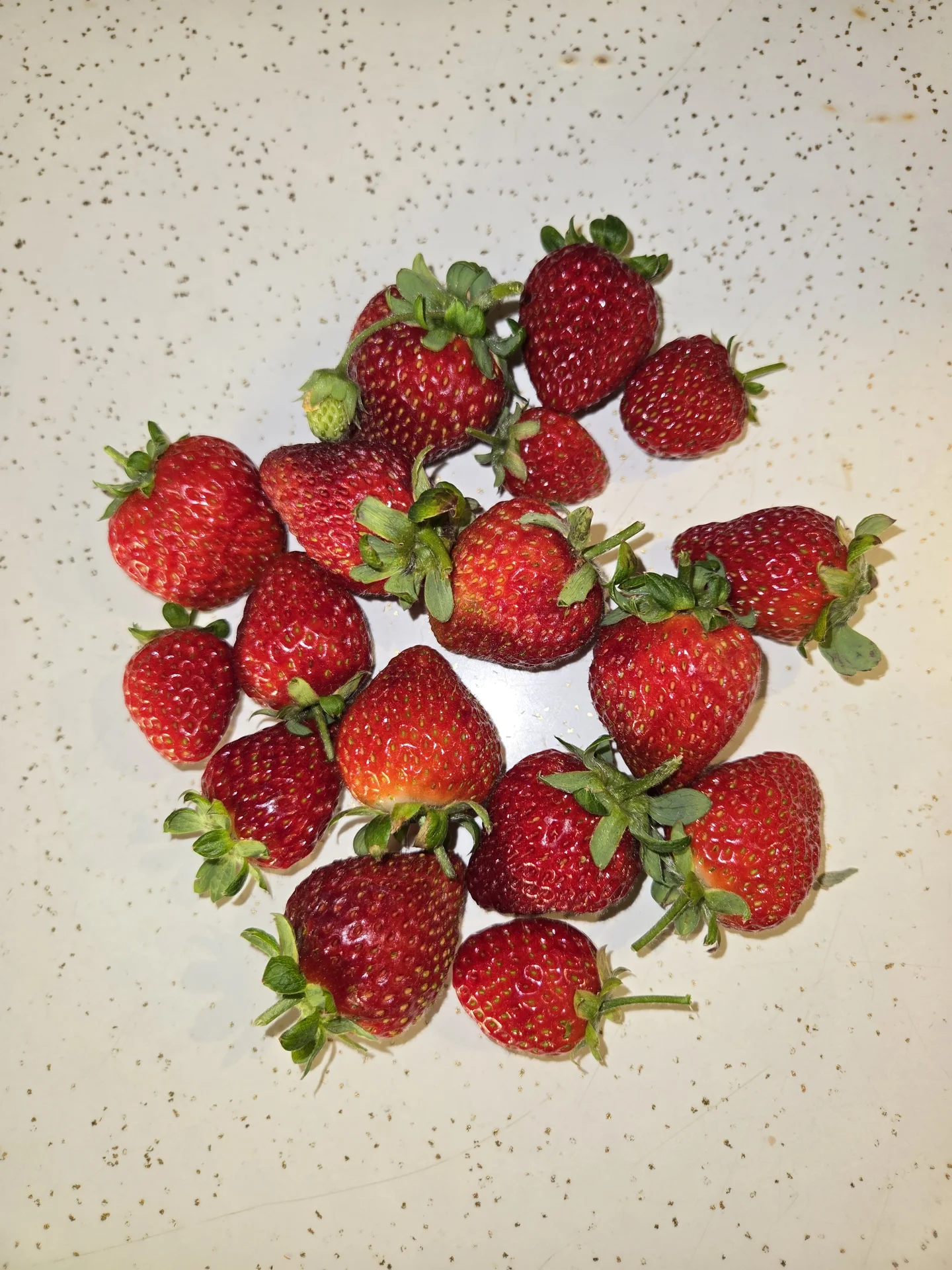 2299.webp