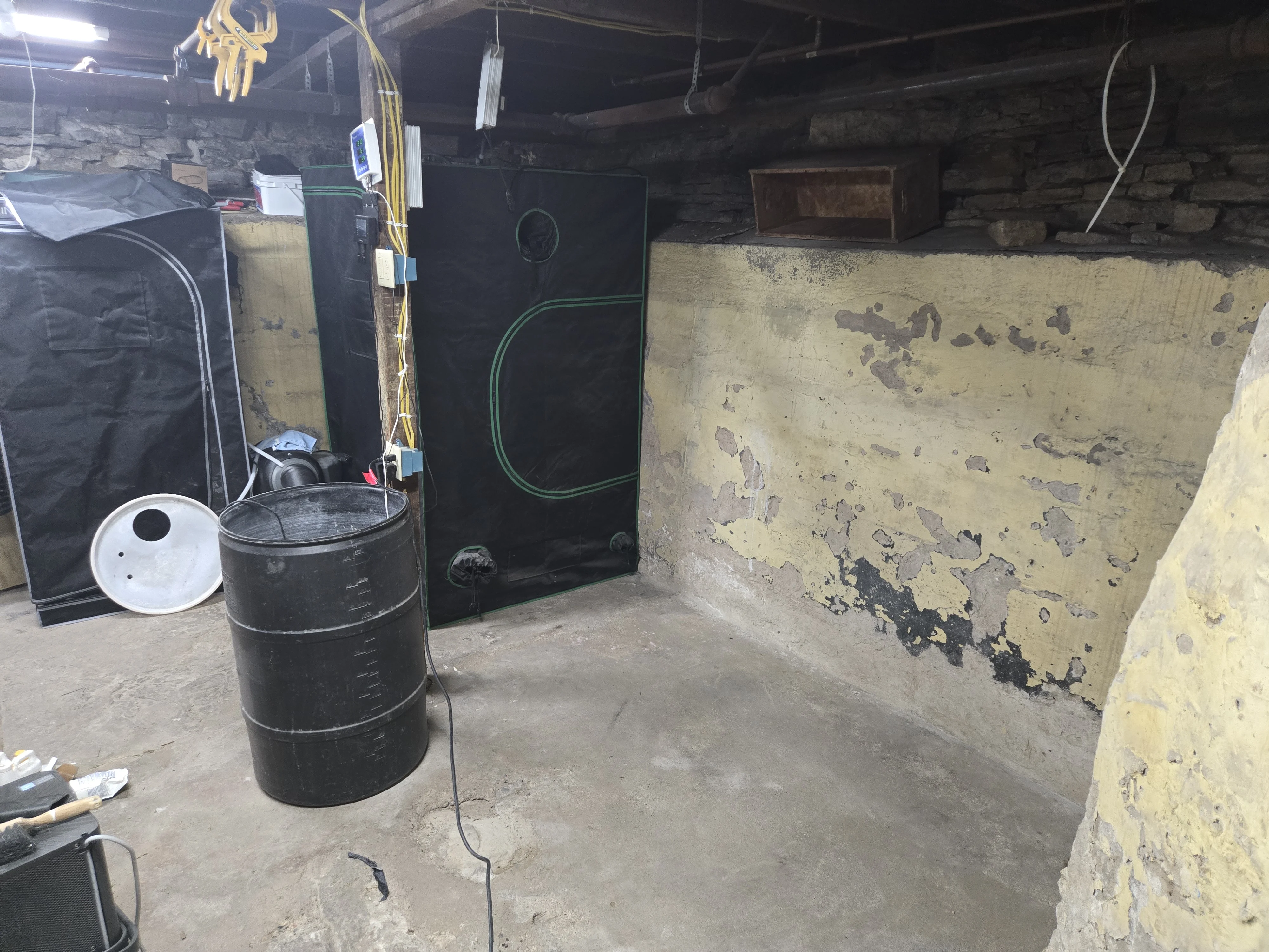 403.webp