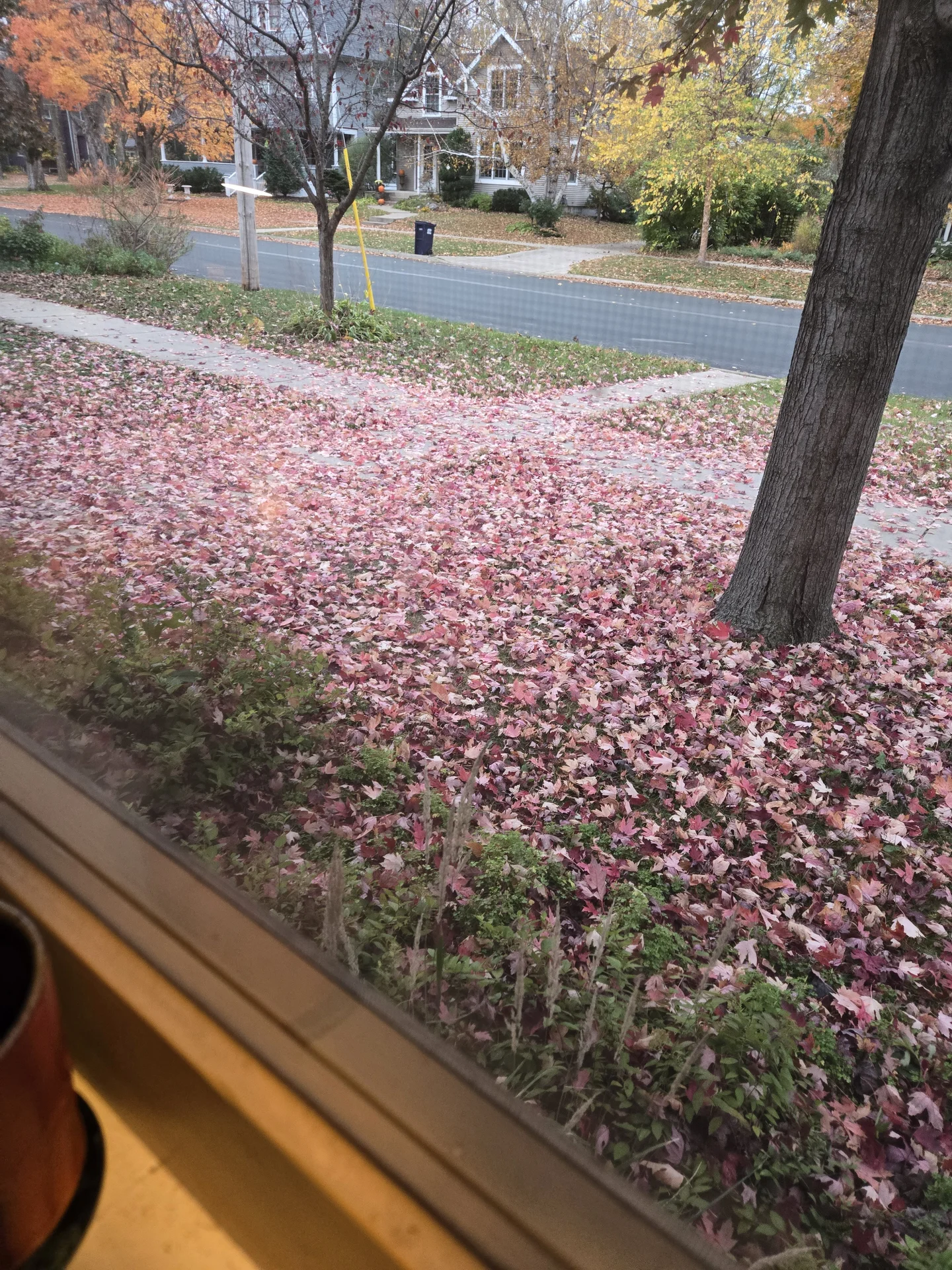 4368.webp