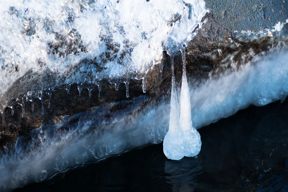 4d337158_5.webp