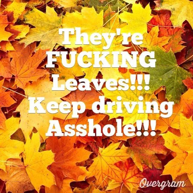 5b7715adae9348c61c4b7ba26113989f.webp