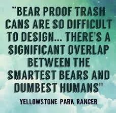 bearprof.webp