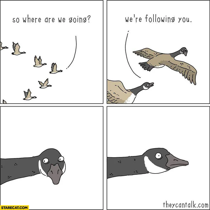 birds-so-where-are-we-going-were-following-you-comic.webp
