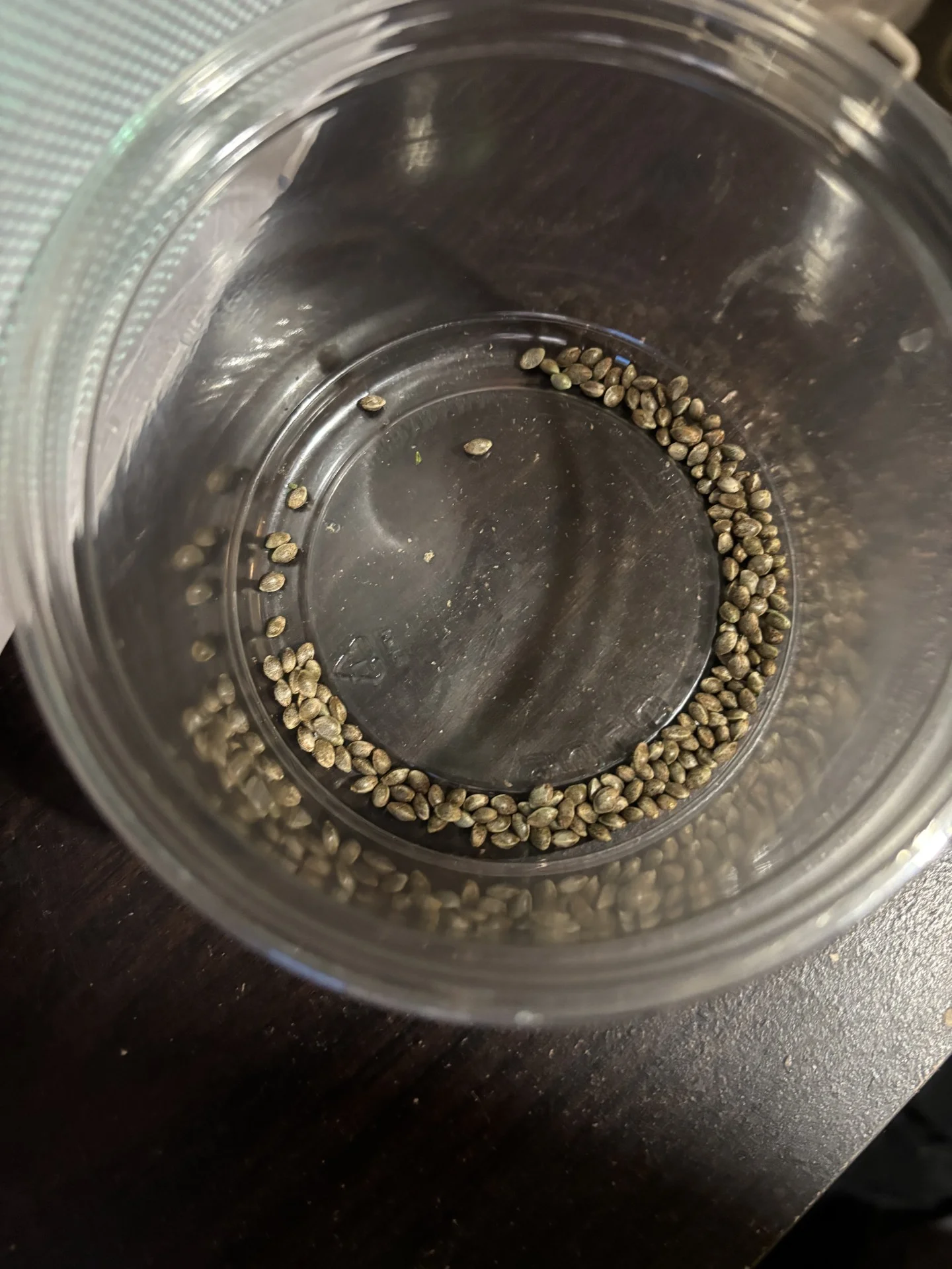 BlueberryxGDP.webp