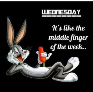 bugs.webp