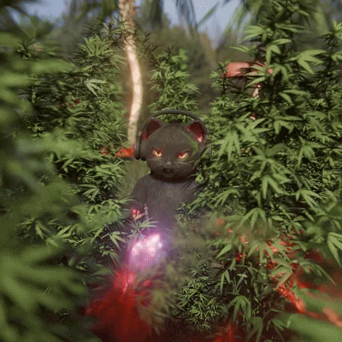BurningWeed.webp