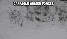canadian-scope.webp