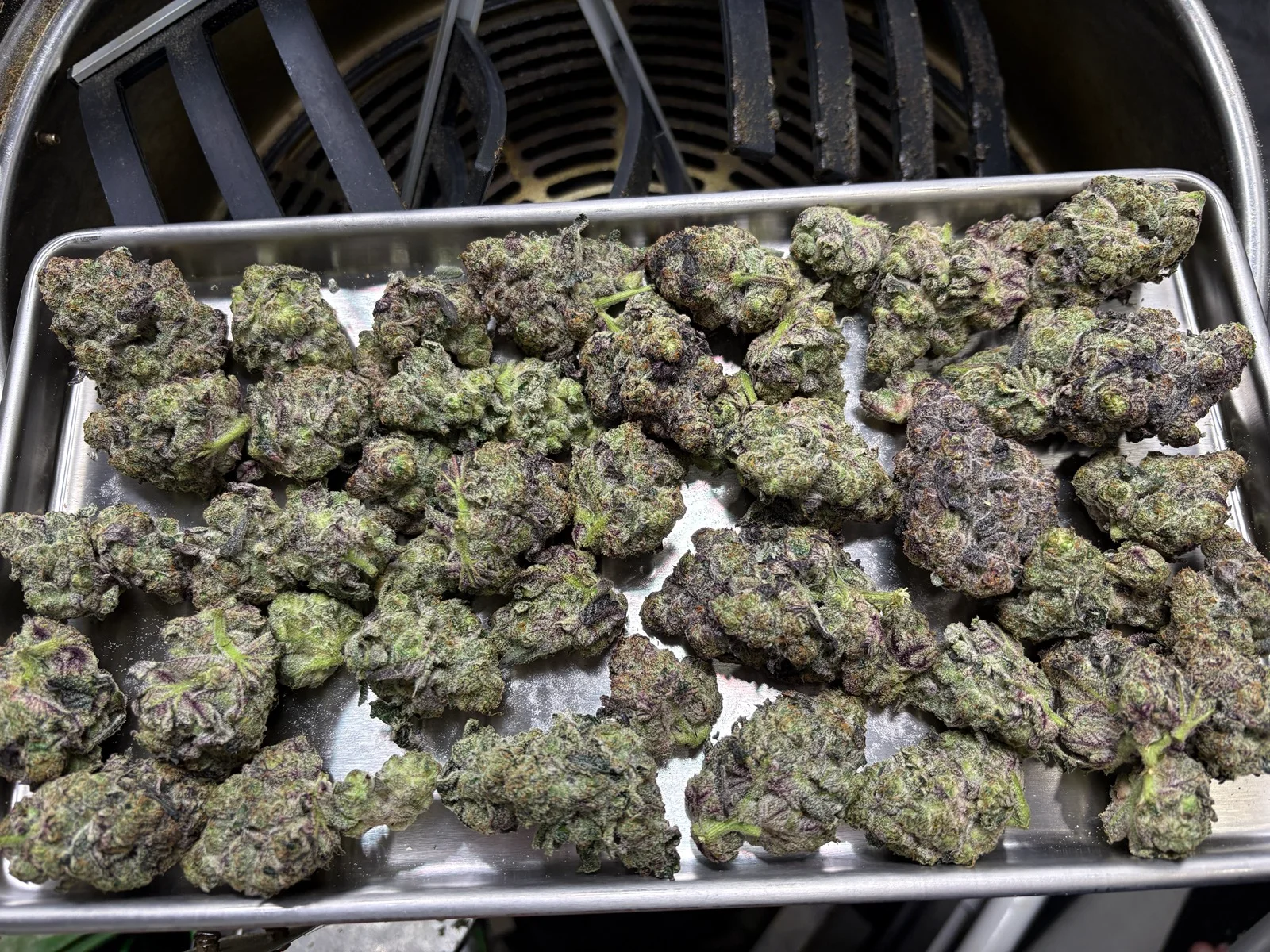 cannabis-before-freeze-drying.webp