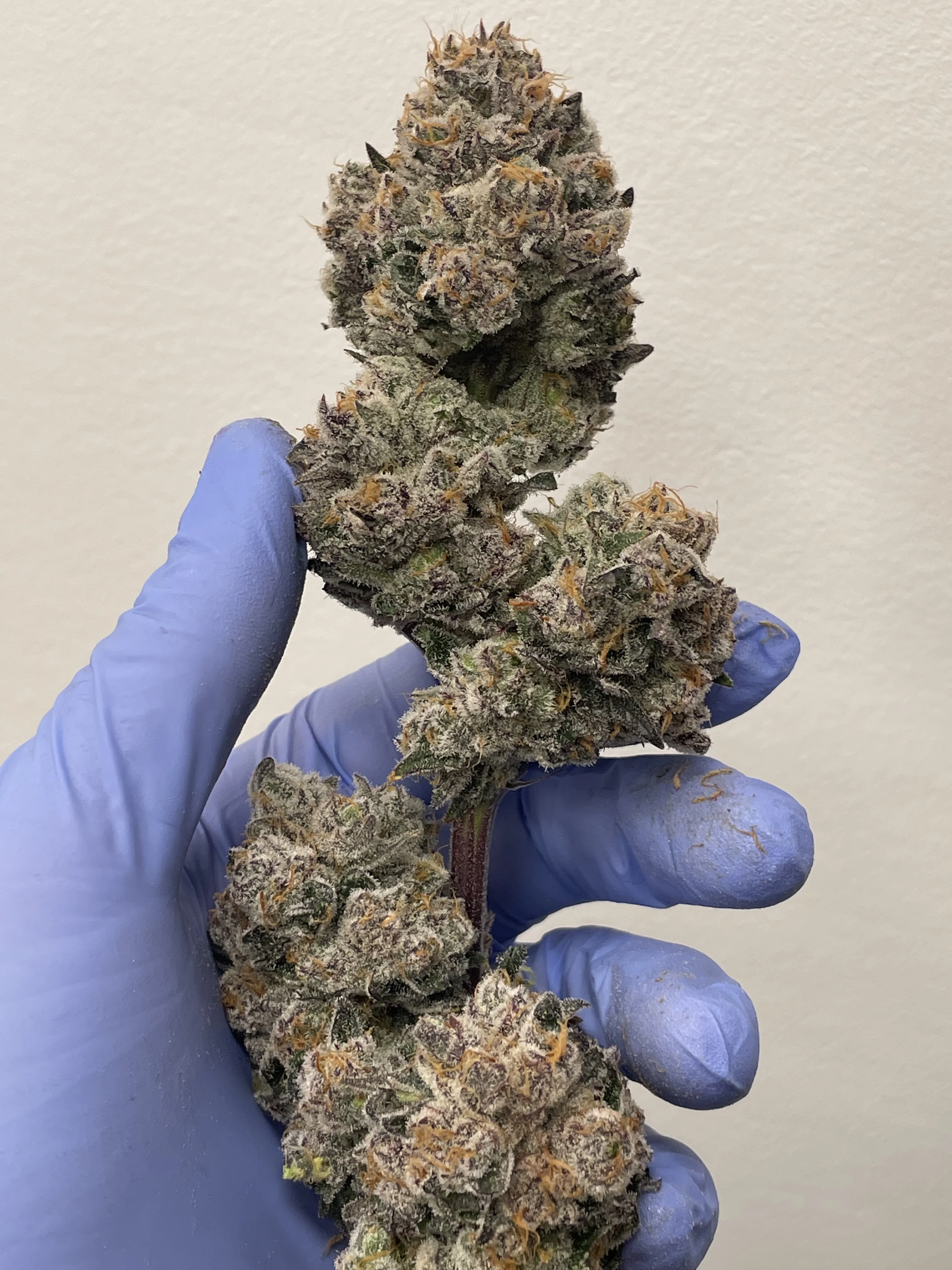 CC840A02-8BF0-443D-BCDD-F224F4541847.webp